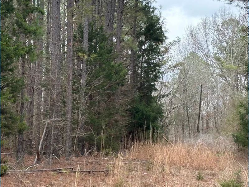 25 Acres in Attala County in Kosciu : Kosciusko : Attala County : Mississippi