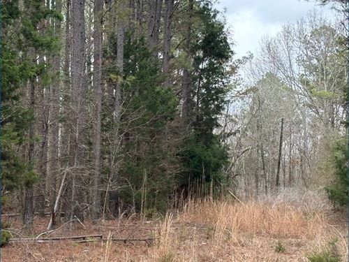 25 Acres in Attala County in Kosciu : Kosciusko : Attala County : Mississippi