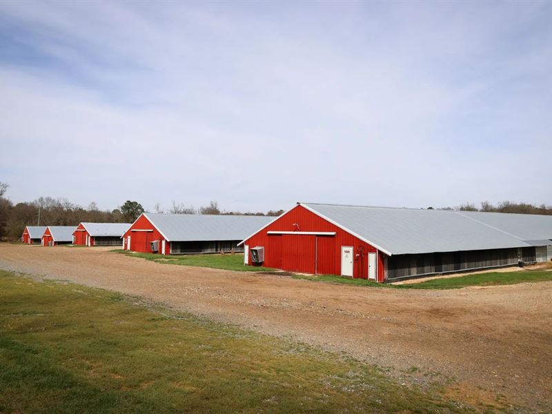 5 House Broiler Farm & Residence Fo : Bernice : Claiborne Parish : Louisiana