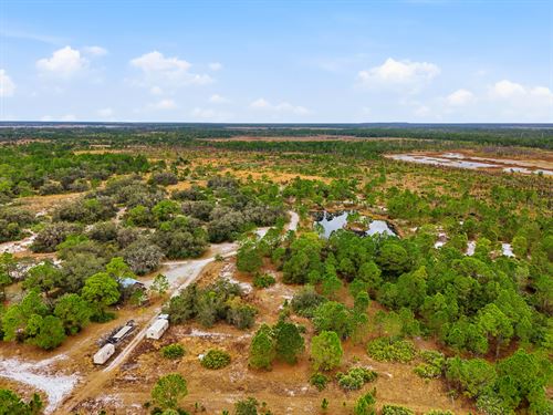 Bluefield Ranch Hunting Preserve : Saint Lucie County : Saint Lucie County : Florida