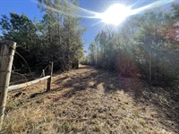 Unrestricted Homesite Near Lake : Livingston : Polk County : Texas