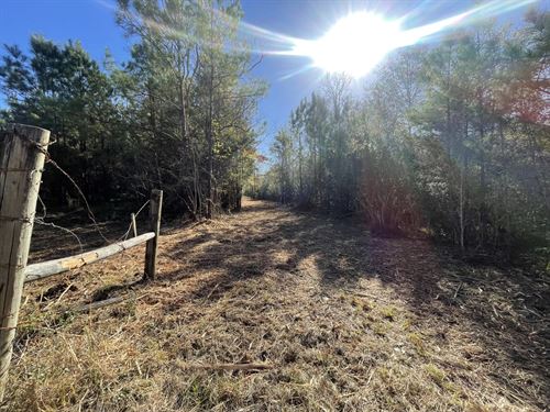 Unrestricted Homesite Near Lake : Livingston : Polk County : Texas