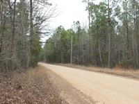 Estate Homesite or Hunting Tract : Forsyth : Monroe County : Georgia