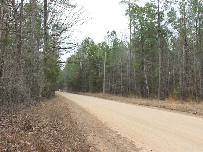 Estate Homesite or Hunting Tract : Forsyth : Monroe County : Georgia
