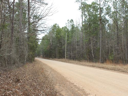 Estate Homesite or Hunting Tract : Forsyth : Monroe County : Georgia