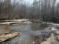 Fork Creek Farm : Carlton : Madison County : Georgia