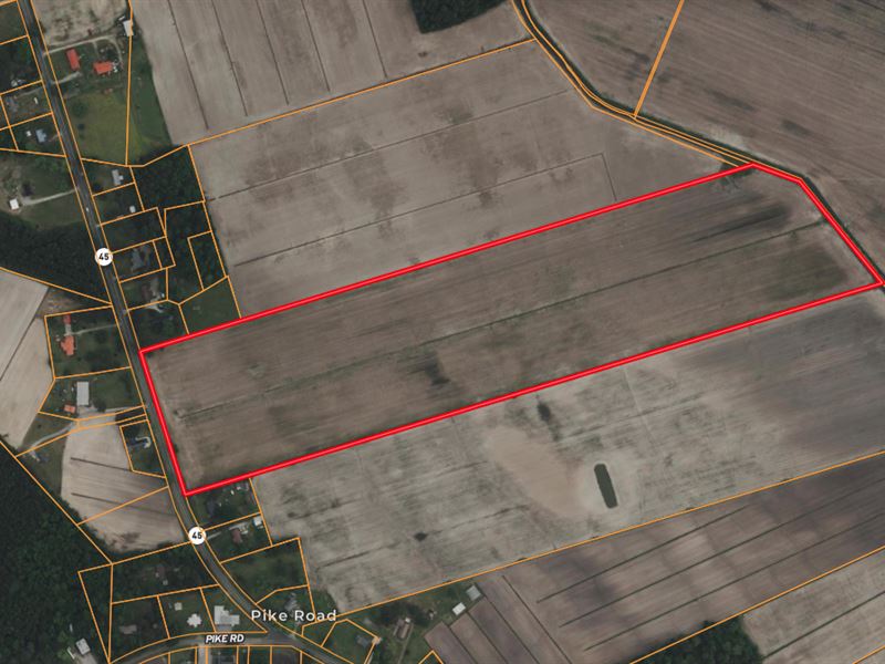 Farmland with Road Frontage : Pantego : Beaufort County : North Carolina