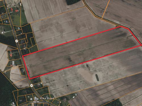 Farmland with Road Frontage : Pantego : Beaufort County : North Carolina