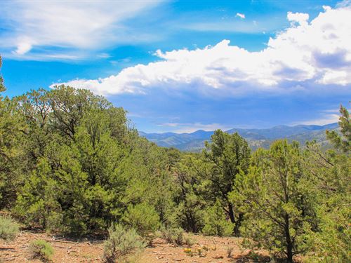 8.58Ac Sangre DE Cristo Ranch CO : Fort Garland : Costilla County : Colorado