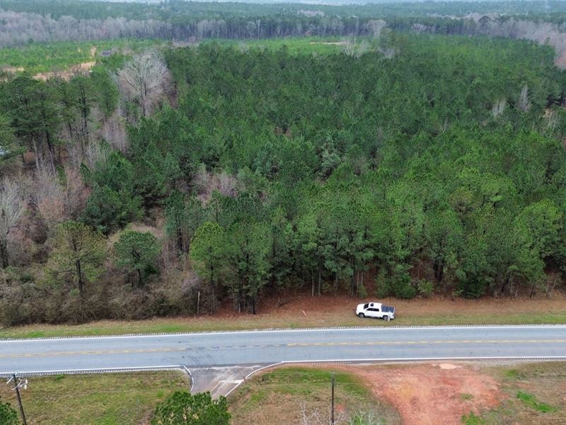 6 Acres Chambers Co. 77 : Roanoke : Chambers County : Alabama