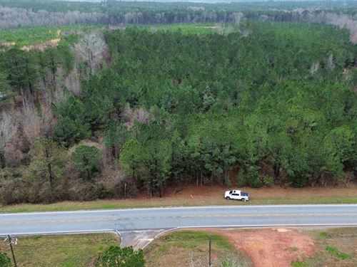 6 Acres Chambers Co. 77 : Roanoke : Chambers County : Alabama