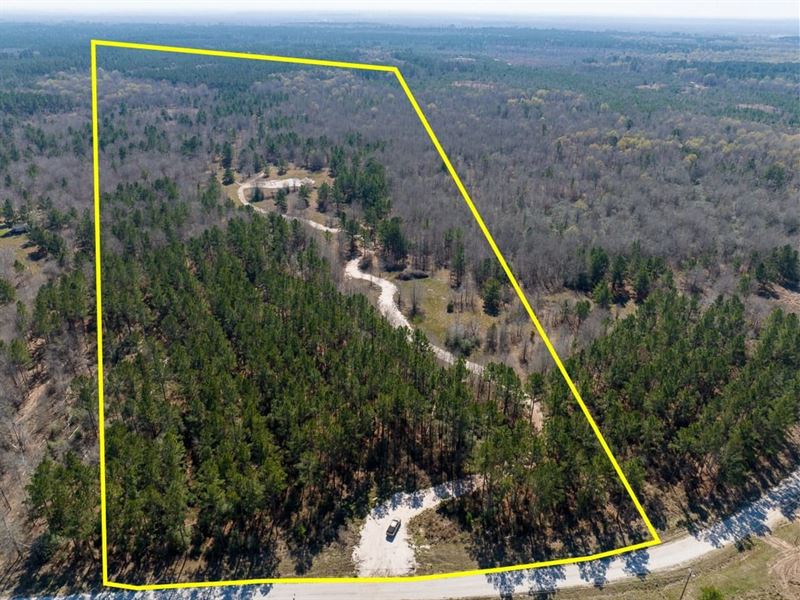 30 Acres, 1653 Private Road 8160 : Lovelady : Houston County : Texas