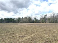 5 Ac Open Land Homesite : Keysville : Burke County : Georgia