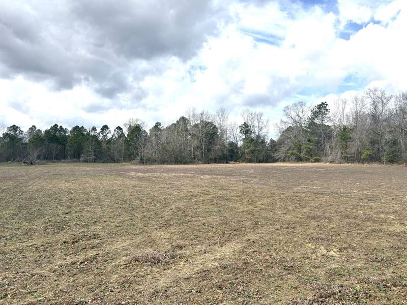 5 Ac Open Land Homesite : Keysville : Burke County : Georgia