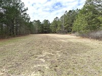 Planted Pine Homesite Lot : Keysville : Burke County : Georgia