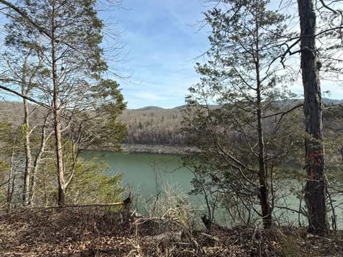 9 Acres in Pulaski County, KY : Burnside : Pulaski County : Kentucky