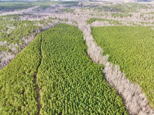 Marion County 70 : Detroit : Marion County : Alabama