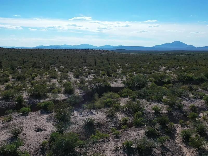 Expansive 40-Acre West Texas : Van Horn : Hudspeth County : Texas