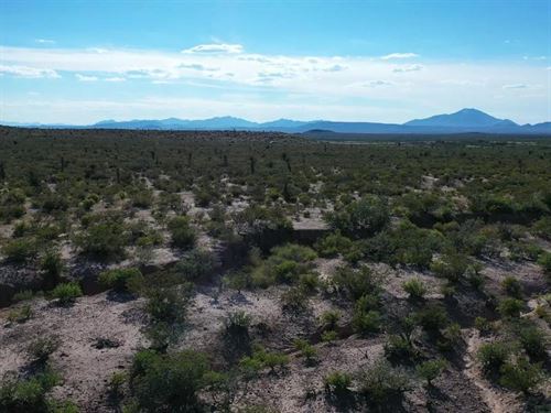 Expansive 40-Acre West Texas : Van Horn : Hudspeth County : Texas