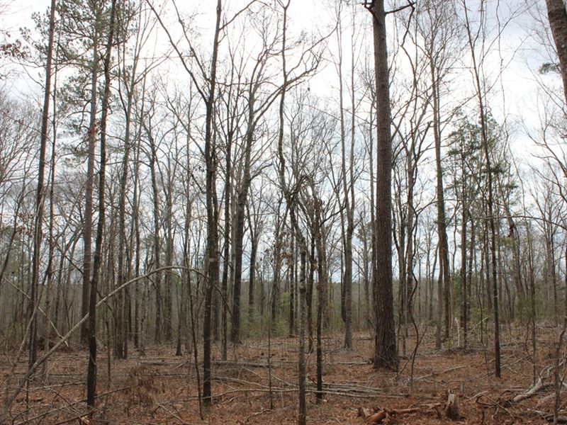 Recreational Property or Homesite : Forsyth : Monroe County : Georgia