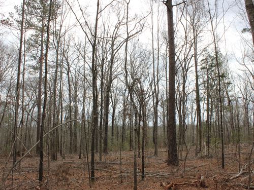 Recreational Property or Homesite : Forsyth : Monroe County : Georgia