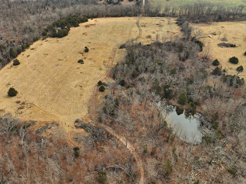 Acreage with Pond & Build Sites : Birch Tree : Shannon County : Missouri