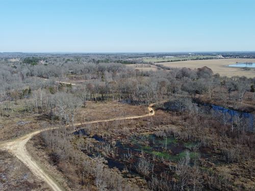 Excellent Deer, Turkey, Duck Hunt : Montgomery : Alabama