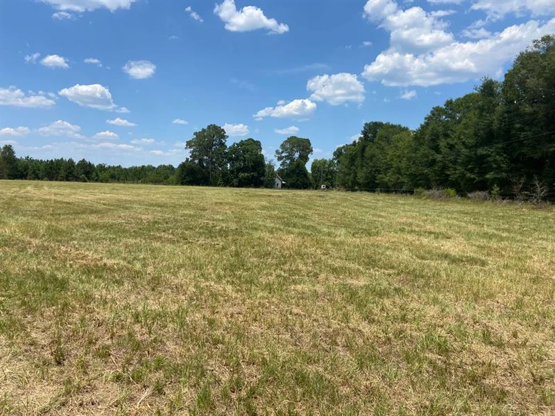 114 Acres with a Farmhouse in Emanu : Adrian : Emanuel County : Georgia