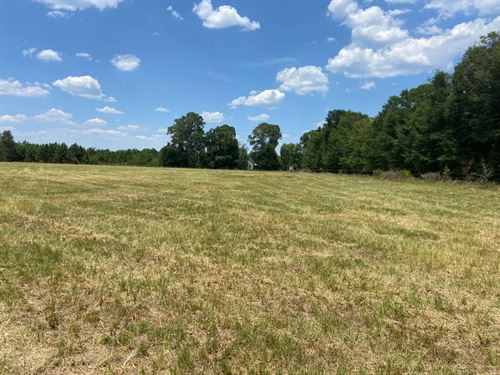 114 Acres With a Farmhouse in Emanu : Adrian : Emanuel County : Georgia