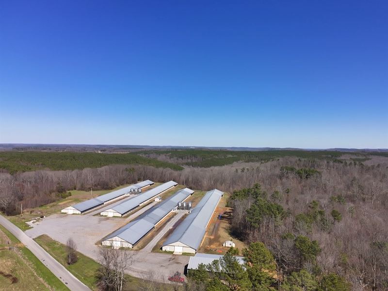 Plow Acre Farm : Spruce Pine : Franklin County : Alabama