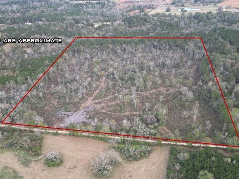 36 Acres in Pike County, Mississipp : Magnolia : Pike County : Mississippi