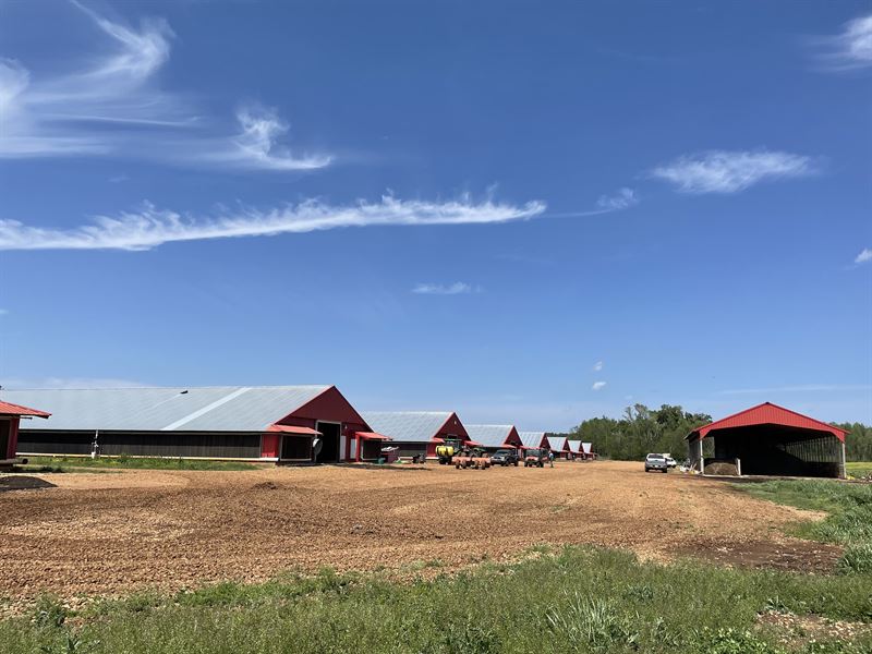 Immacualte 8 House Broiler Farm : Louisville : Winston County : Mississippi