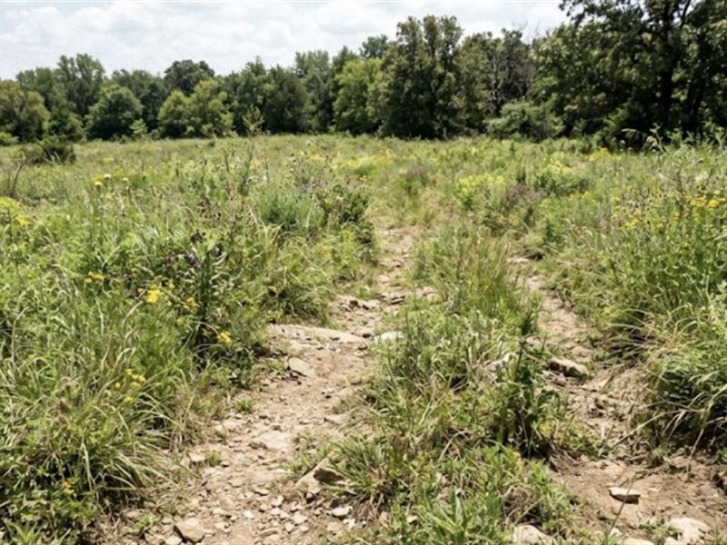 49.3 Acres in Creek County, OK : Drumright : Creek County : Oklahoma