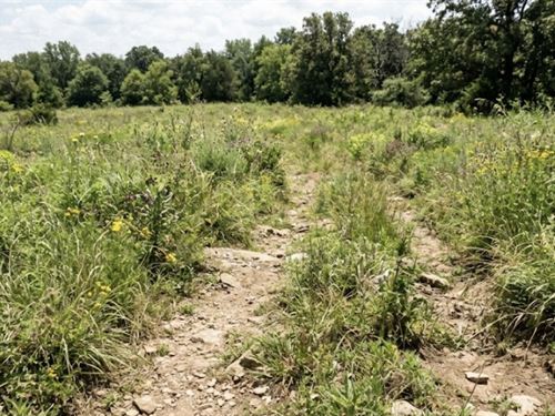 49.3 Acres in Creek County, OK : Drumright : Creek County : Oklahoma