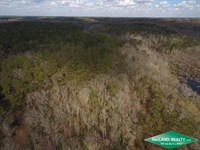 157 Ac Mixed Timberland : Choudrant : Jackson Parish : Louisiana