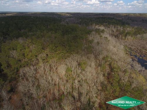 157 Ac Mixed Timberland : Choudrant : Jackson Parish : Louisiana