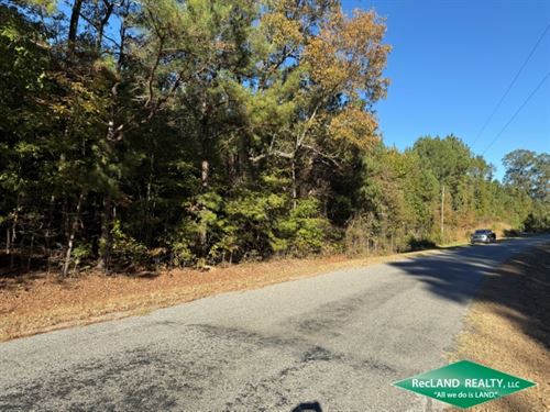 60 ac, Timberland for Home Site : Dubach : Lincoln Parish : Louisiana