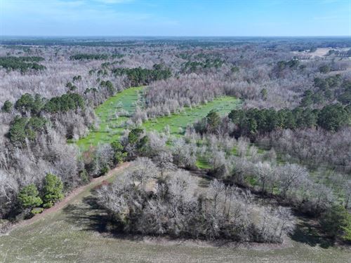 Spacious Hunting and Farming Tract : Wallace : Duplin County : North Carolina