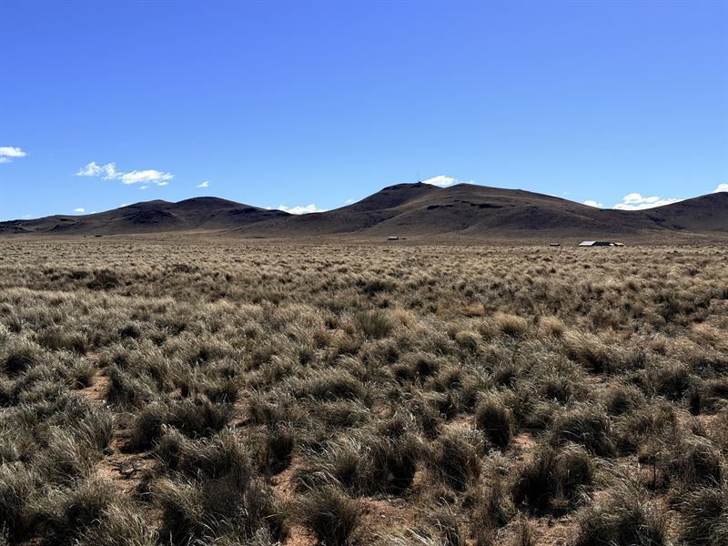 Affordable MT Blanca View Lot CO : Blanca : Costilla County : Colorado
