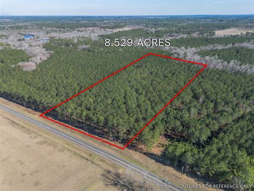 Lot 2 Hambrick, 8.53 Acres in East : Eastman : Dodge County : Georgia