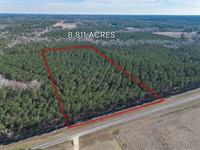 Lot 3 Hambrick, 8.81 Acres in East : Eastman : Dodge County : Georgia