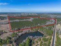 Lot 7 Hambrick, 91.11 Acres in Eas : Eastman : Dodge County : Georgia