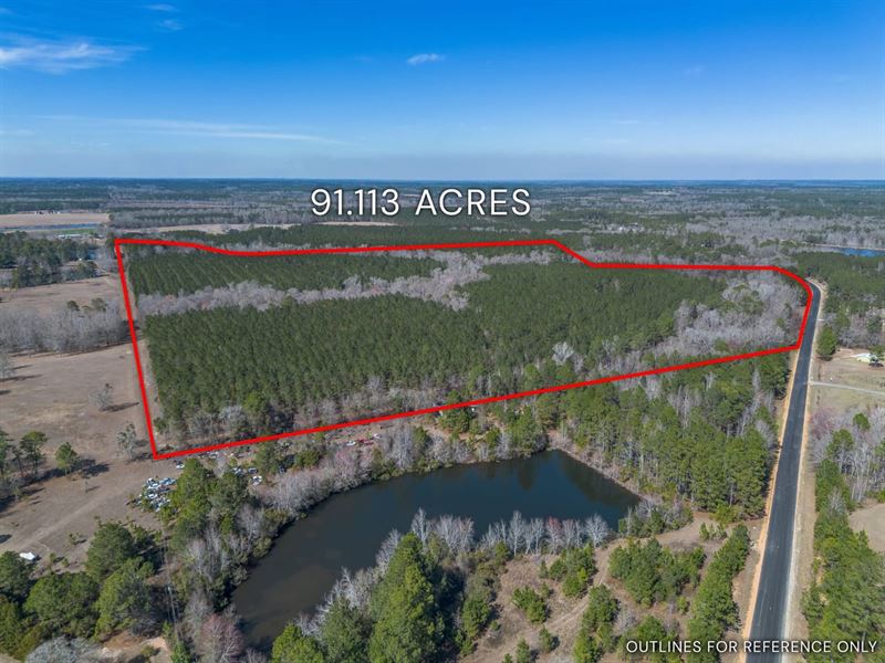 Lot 7 Hambrick, 91.11 Acres in Eas : Eastman : Dodge County : Georgia