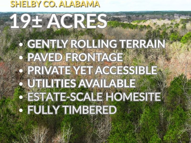 Shelby County Road 305 : Columbiana : Shelby County : Alabama