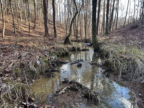 Crawford Branch Tract, 111 Acres : Clanton : Chilton County : Alabama