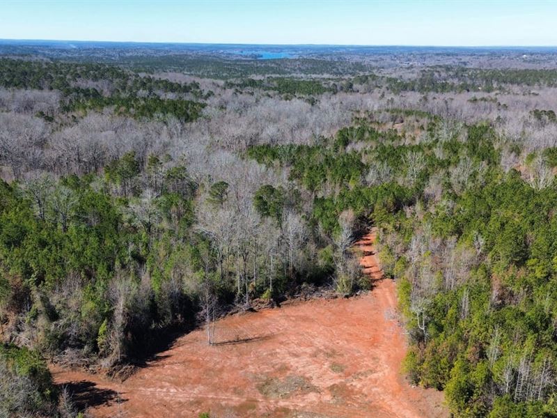 104 Acres Tallapoosa Co Near Lak : Jacksons Gap : Tallapoosa County : Alabama