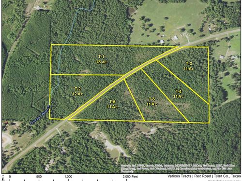 30 Acres, Rec Road 255, T-1 & T-2 : Colmesneil : Tyler County : Texas