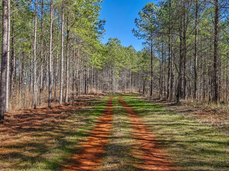 Yellow Creek Timber Farm & Recreati : Forsyth : Monroe County : Georgia
