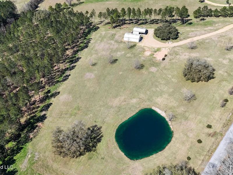 Private Osyka MS Homesite with Pond : Osyka : Pike County : Mississippi