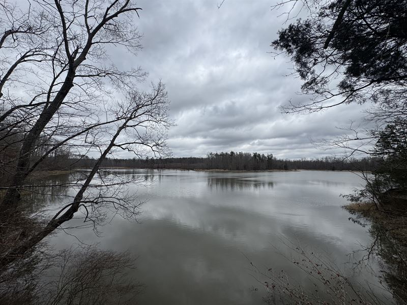 Sportsmans Dream Property : Lexington : Holmes County : Mississippi